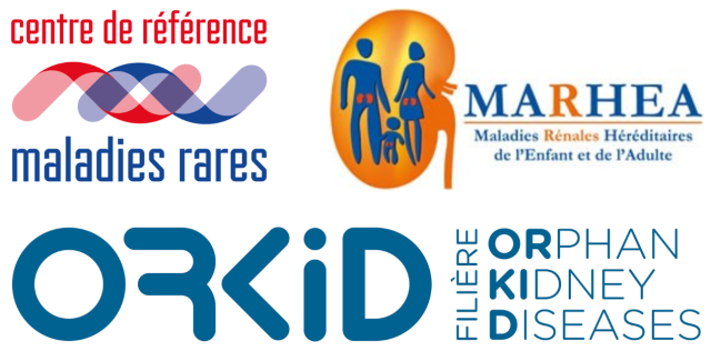 Centre de Référence Maladies Rénales Rares de Brest